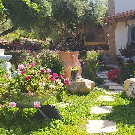 Myparadise-Farm Villa In The Centre Of South Crete 卡拉马基 外观 照片
