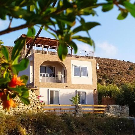 Myparadise-Farm Villa In The Centre Of South Crete 卡拉马基 外观 照片