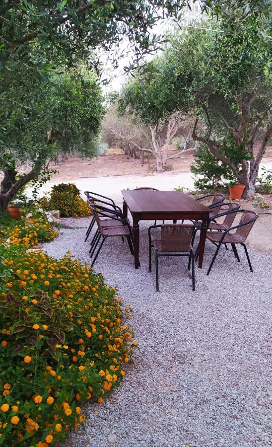 Myparadise-Farm Villa In The Centre Of South Crete 卡拉马基 外观 照片