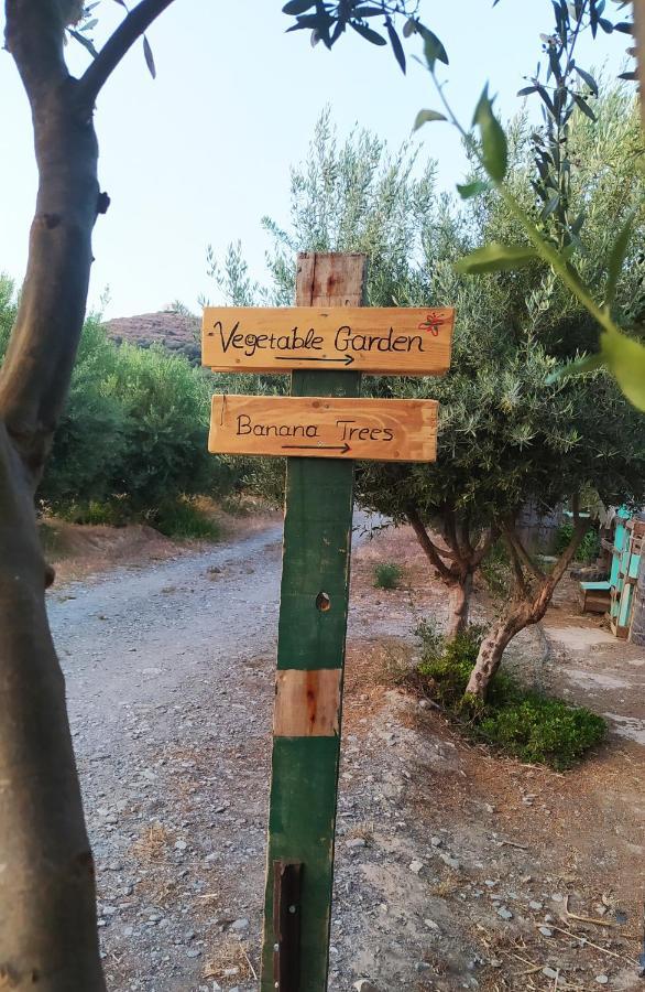 Myparadise-Farm Villa In The Centre Of South Crete 卡拉马基 外观 照片